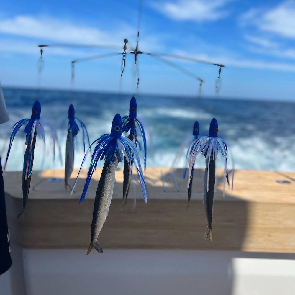 Marlin Dredge - Image 4