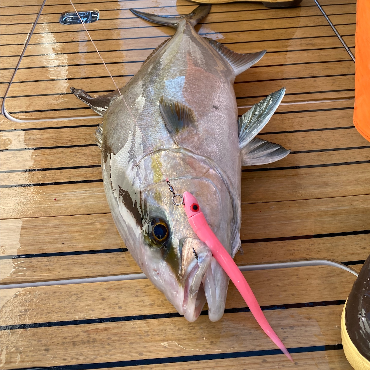 Ahi Casting Lure - Image 5