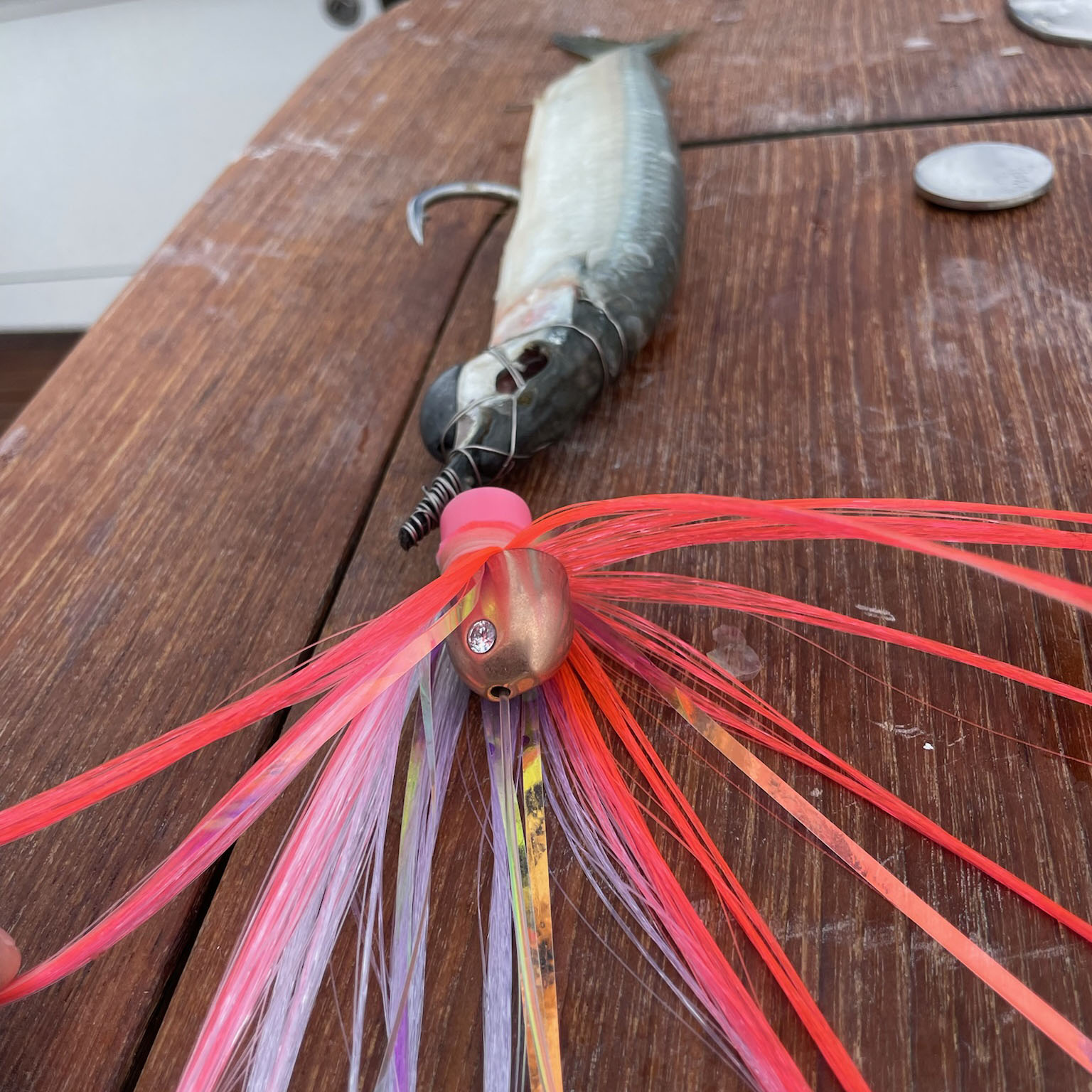 Tungsten Ahi Head - Image 5